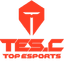 Top Esports Challenger logo