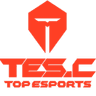 Top Esports Challenger logo