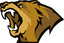 Lynn Vision logo