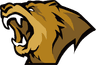 Lynn Vision logo