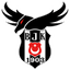 Beşiktaş Esports logo