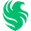 Team Falcons logo