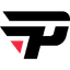 paiN Academy logo