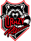 Crazy Raccoon logo