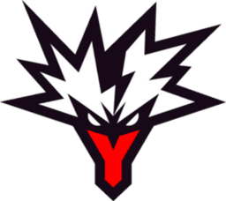Team Yandex logo