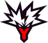 Team Yandex logo