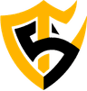 Team Solid logo