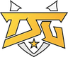 True Synergy Gaming logo