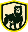 SoloTeam logo