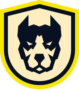 Team zoneR logo