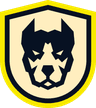 Team zoneR logo