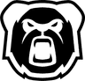 Arctic Pandas logo