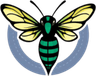 Hornets