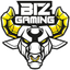 Biz Gaming logo