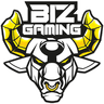 Biz Gaming logo