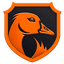 Team NS logo