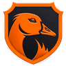Team NS logo