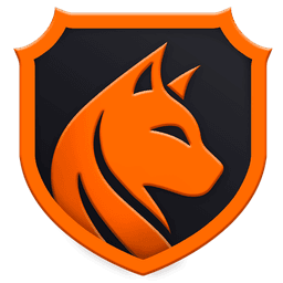 Team Vasilisa logo