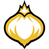Onion Team logo