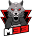 Team M33 logo