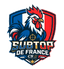 Subtop De France logo