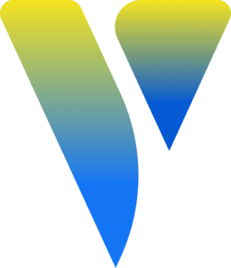 summer bear logo