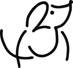 1234 logo