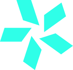 TEAM VISION logo