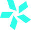TEAM VISION logo