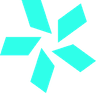 TEAM VISION logo