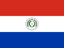Paraguay logo