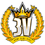 3v Team logo