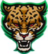 Rush logo