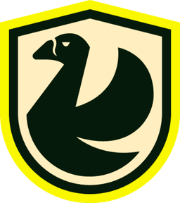 NS Team logo