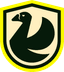 NS Team logo