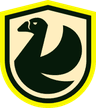 NS Team logo