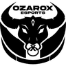 DIA Ozarox Esports logo
