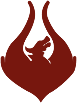 Team Phoenix logo