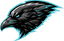 Not A Squad Esports logo