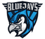 BLUEJAYS.de logo