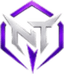 Nice Try logo