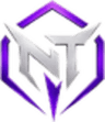 Nice Try logo