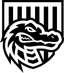 CyberHero logo