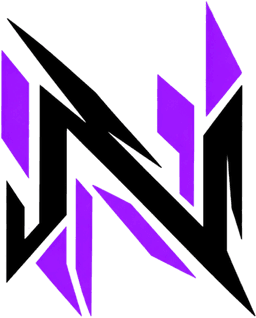 NOCTIS logo