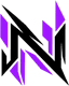 NOCTIS logo