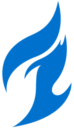 Dallas Fuel logo