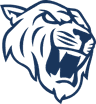 Dark Passage logo