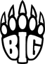 BIG logo