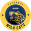 Istanbul Wildcats logo