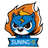 Suning-S